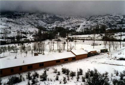 Balenario - Camarena de la Sierra