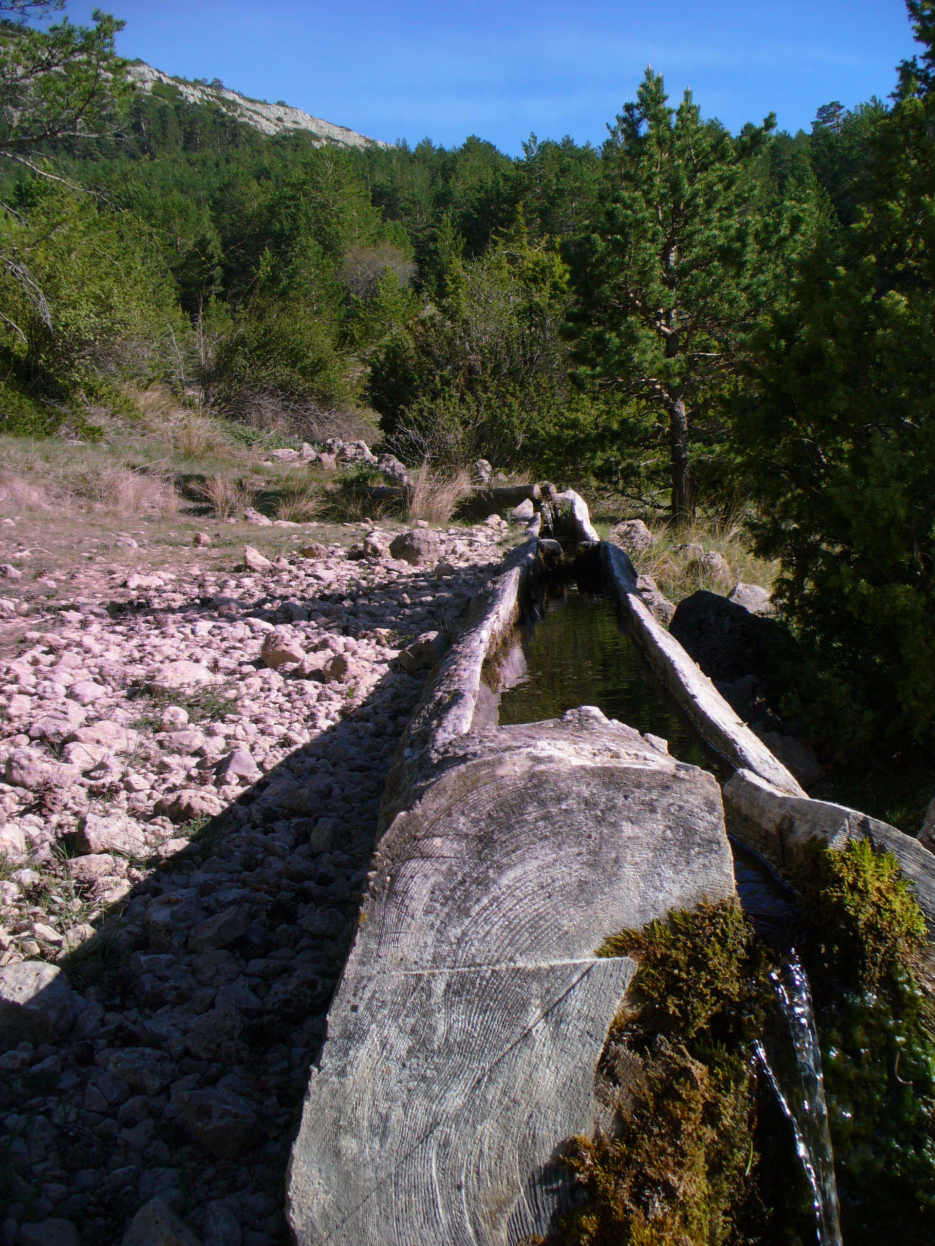 Fuente La Cepa