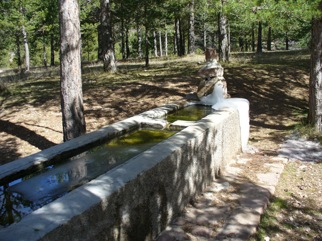 Fuente El Sastre - Camarena de la Sierra