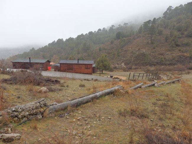 Los Pradejones - Camarena de la Sierra