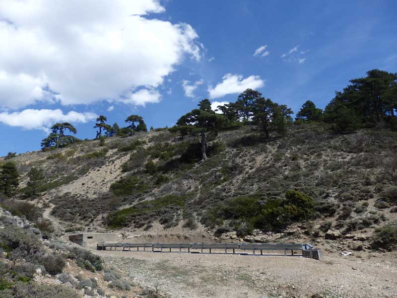 Camarena de la Sierra